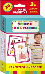 Умные карточки «Как устроен человек» (Pocмэн, 25191ros)